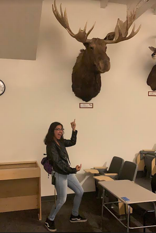 Andrea standing under a moose shoulder mount, pointing and smiling