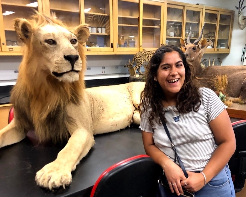 Aviva posed next to stuffed lion